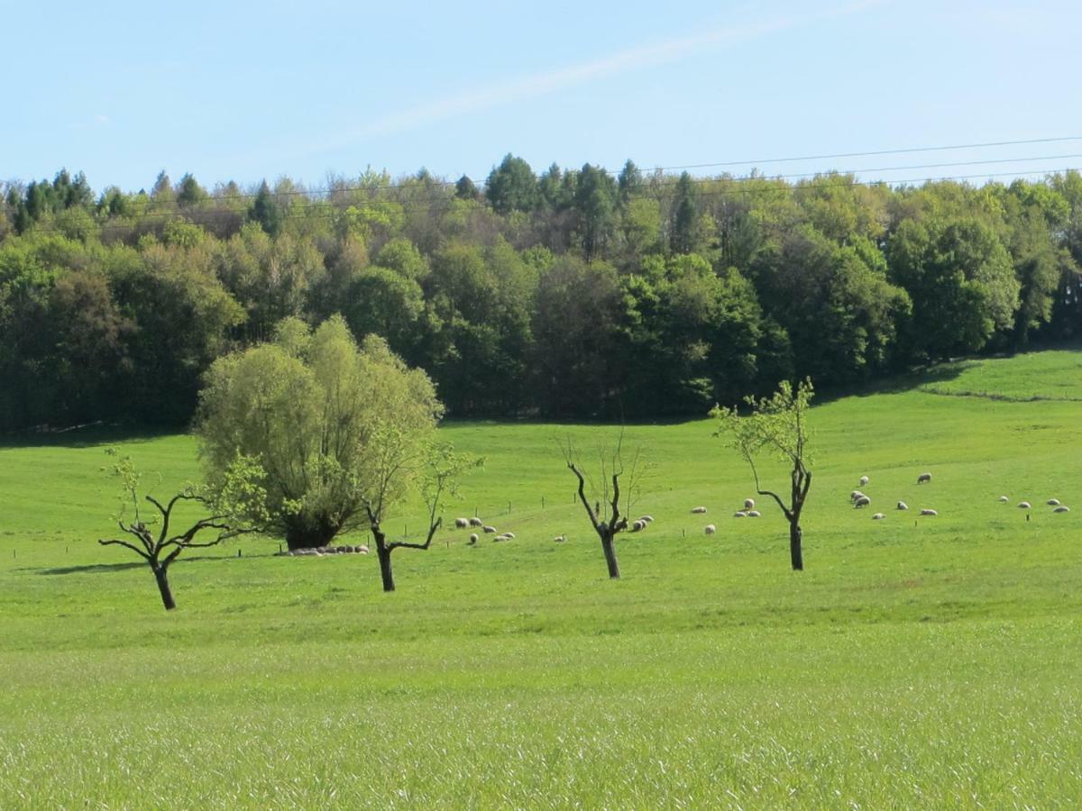 Gites Du Tilleul Gumbrechtshoffen 外观 照片