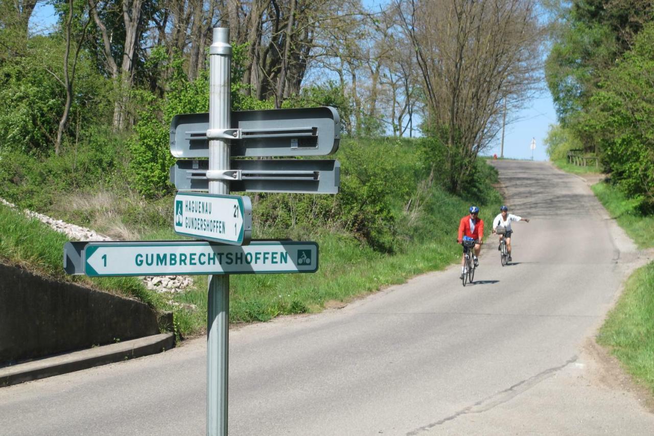 Gites Du Tilleul Gumbrechtshoffen 外观 照片
